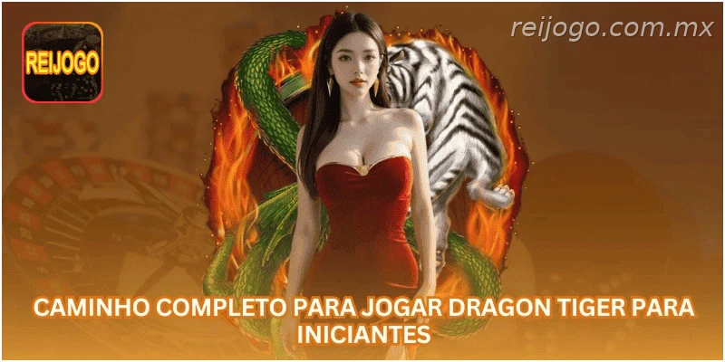 Caminho completo para jogar Dragon Tiger para iniciantes.