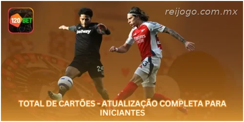 Total de Cartões - Atualização Completa para Iniciantes